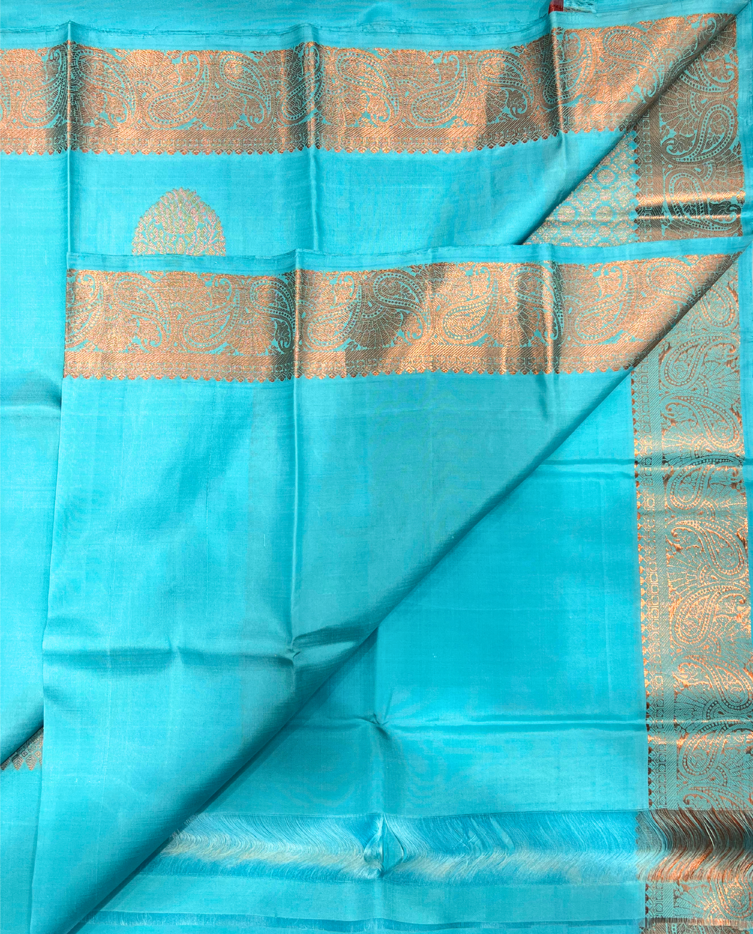 Sky Blue Kanchipuram Silk Saree with Traditional Gold Motifs